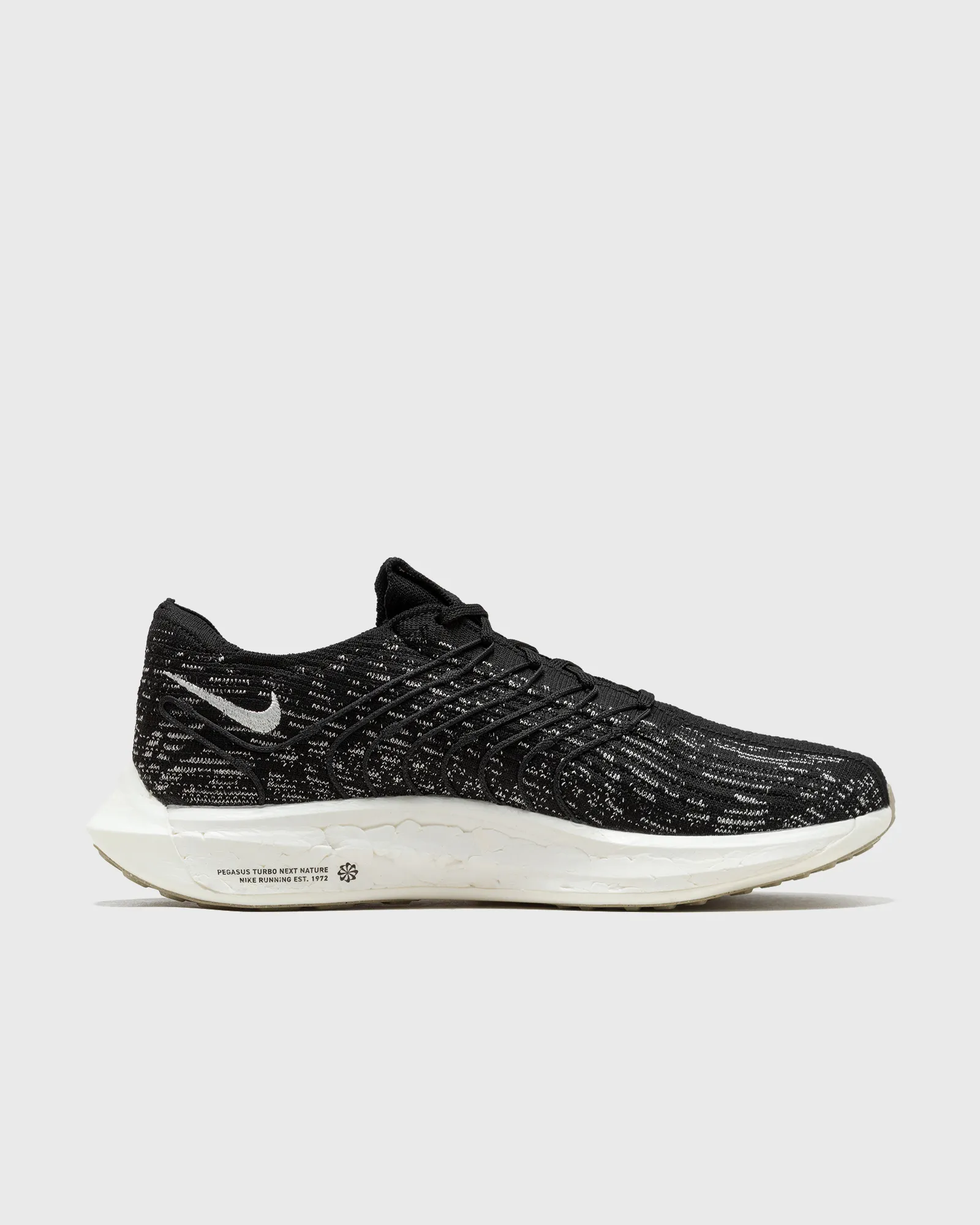 Nike Nike Pegasus Turbo
