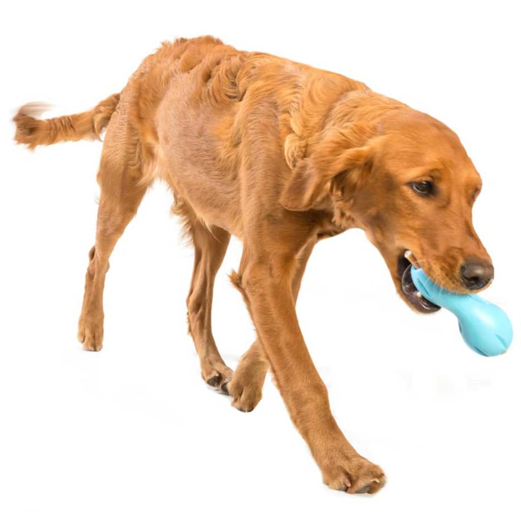 Jouet de puzzle pour chiens qwizl taille l bleu 3540