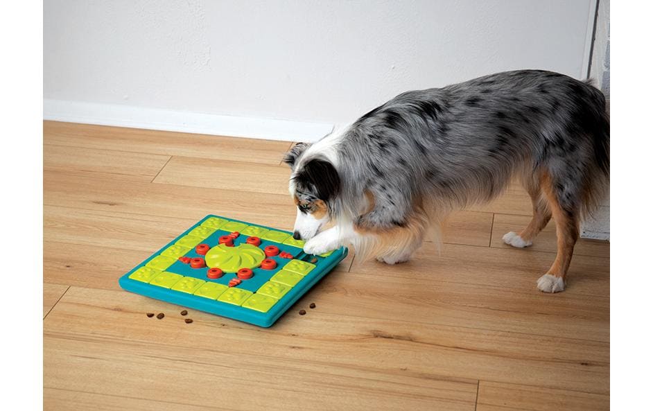 Strategie-Spiel Multipuzzle, 37.7 x 37.7 x 4.7 cm, GrünStrategiespielzeug für Hunde