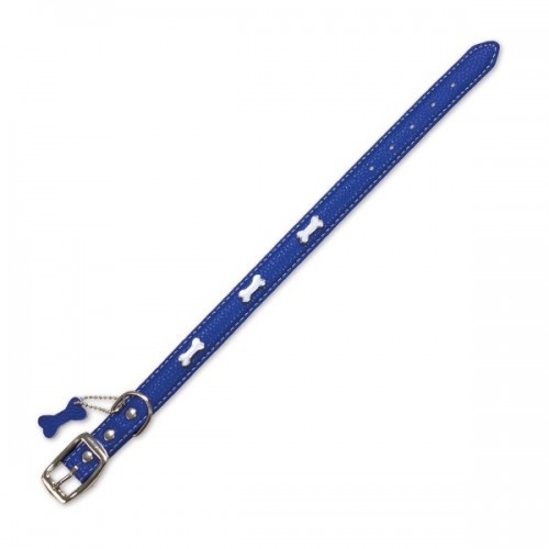 Coleira de couro azul com desenho de osso para cães