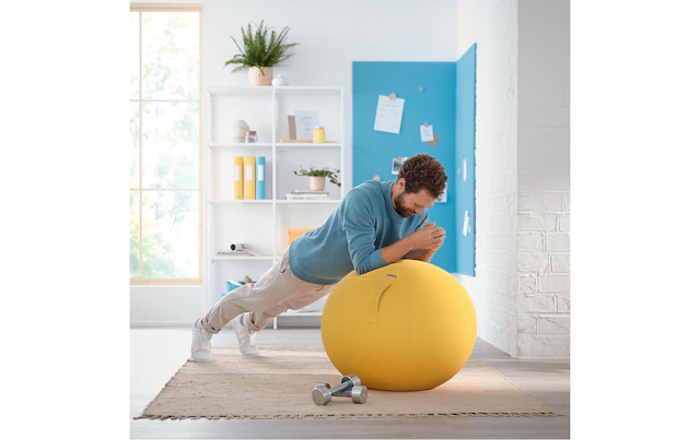 LEITZ Sitzball »Ergo Cosy«