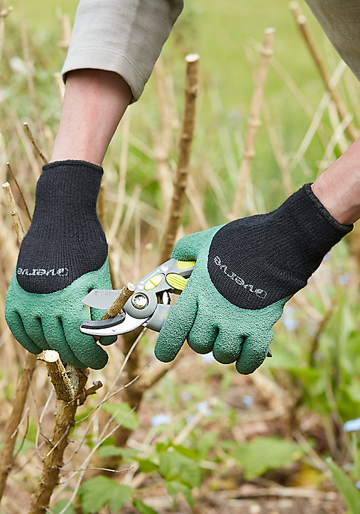 Gants de jardinage thermique enduit latex vert Verve - Taille 8 (M)