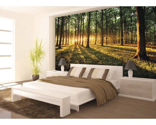 Vliesbehang 2226VEP Bos met zon 1-delig 250 x 104 cm