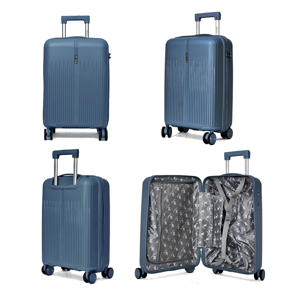 Cactus Lot de 3 valises rigides dont une valise cabine Cactus TSA PETE