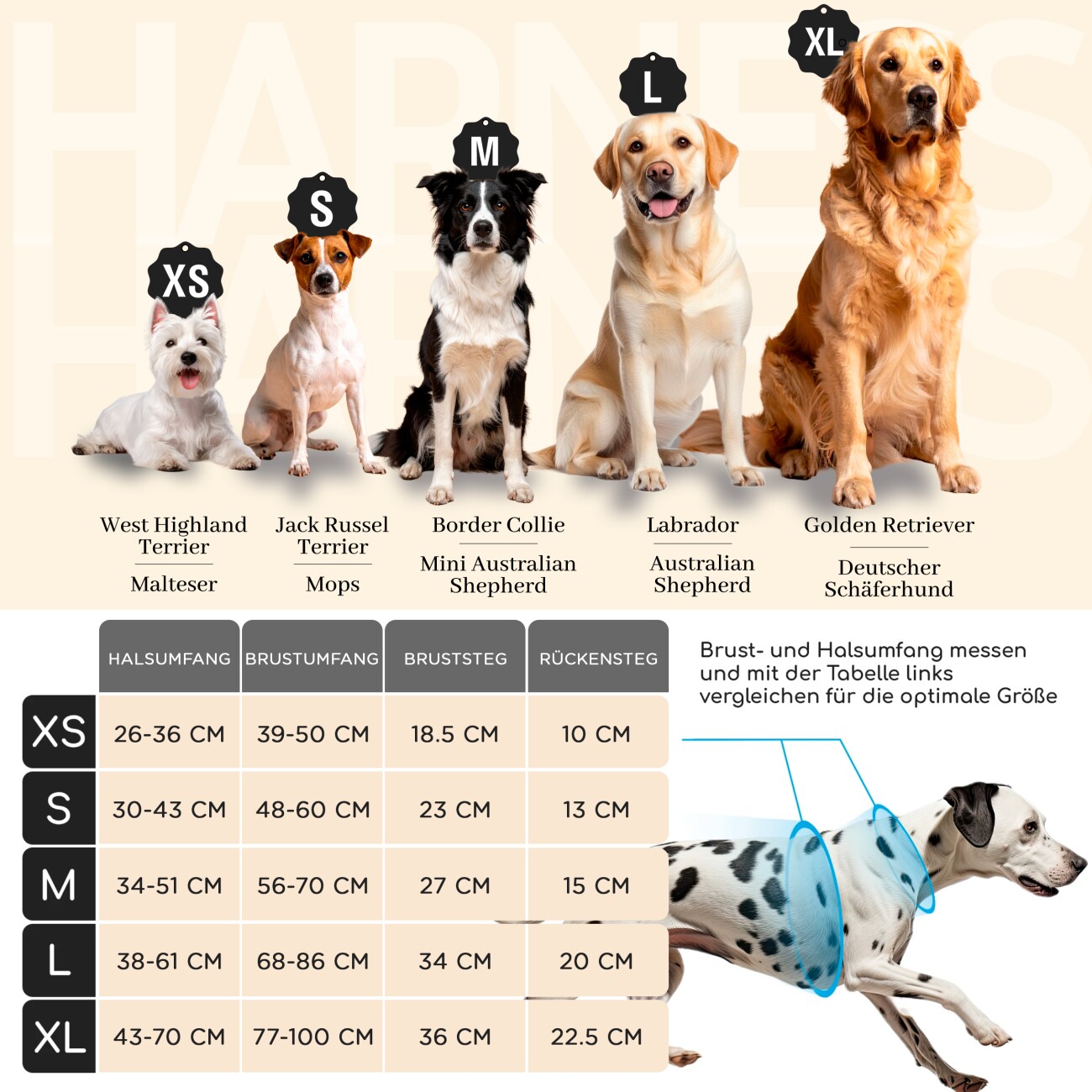 Freudentier Hundegeschirr mit Mesh-Polsterung M
