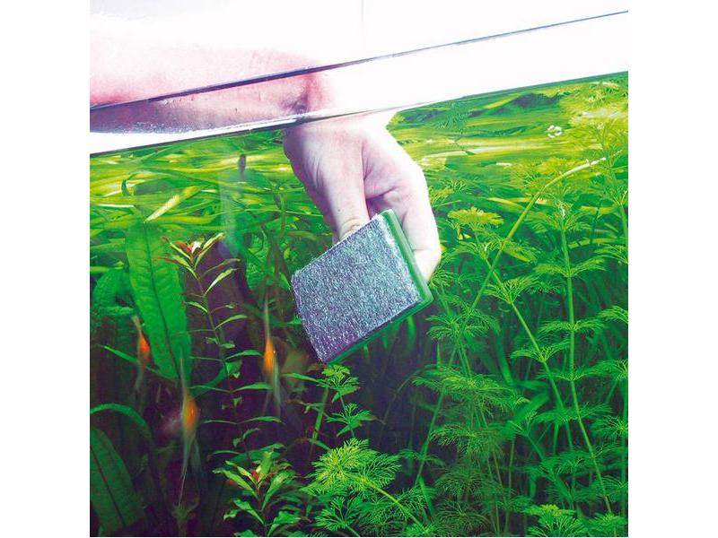 JBL Scheibenreiniger Blanki Kratzfreier Aquarien-Scheibenreiniger