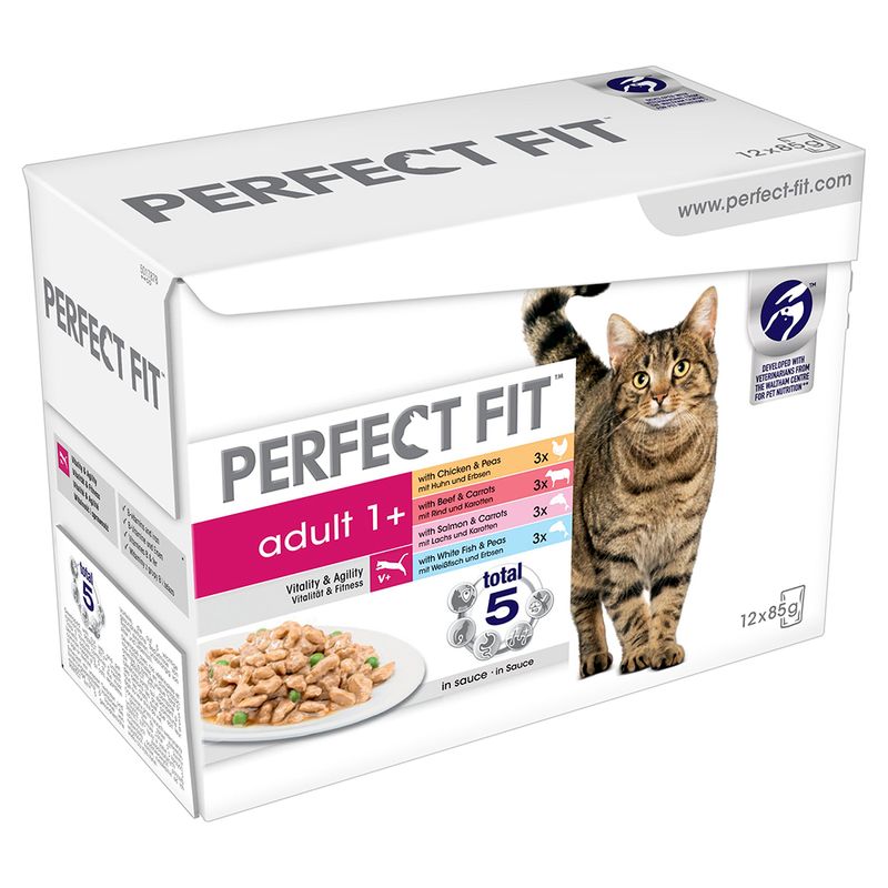 Lot mixte PERFECT FIT