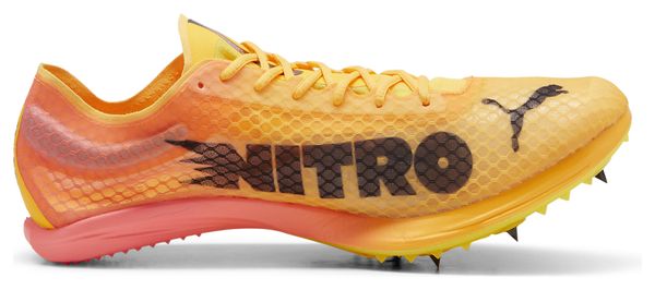 Chaussures Athlétisme Puma evoSPEED Distance Nitro Elite  4 Orange Rose Homme