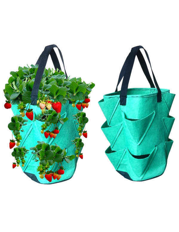 Sac planteur tour de fraises