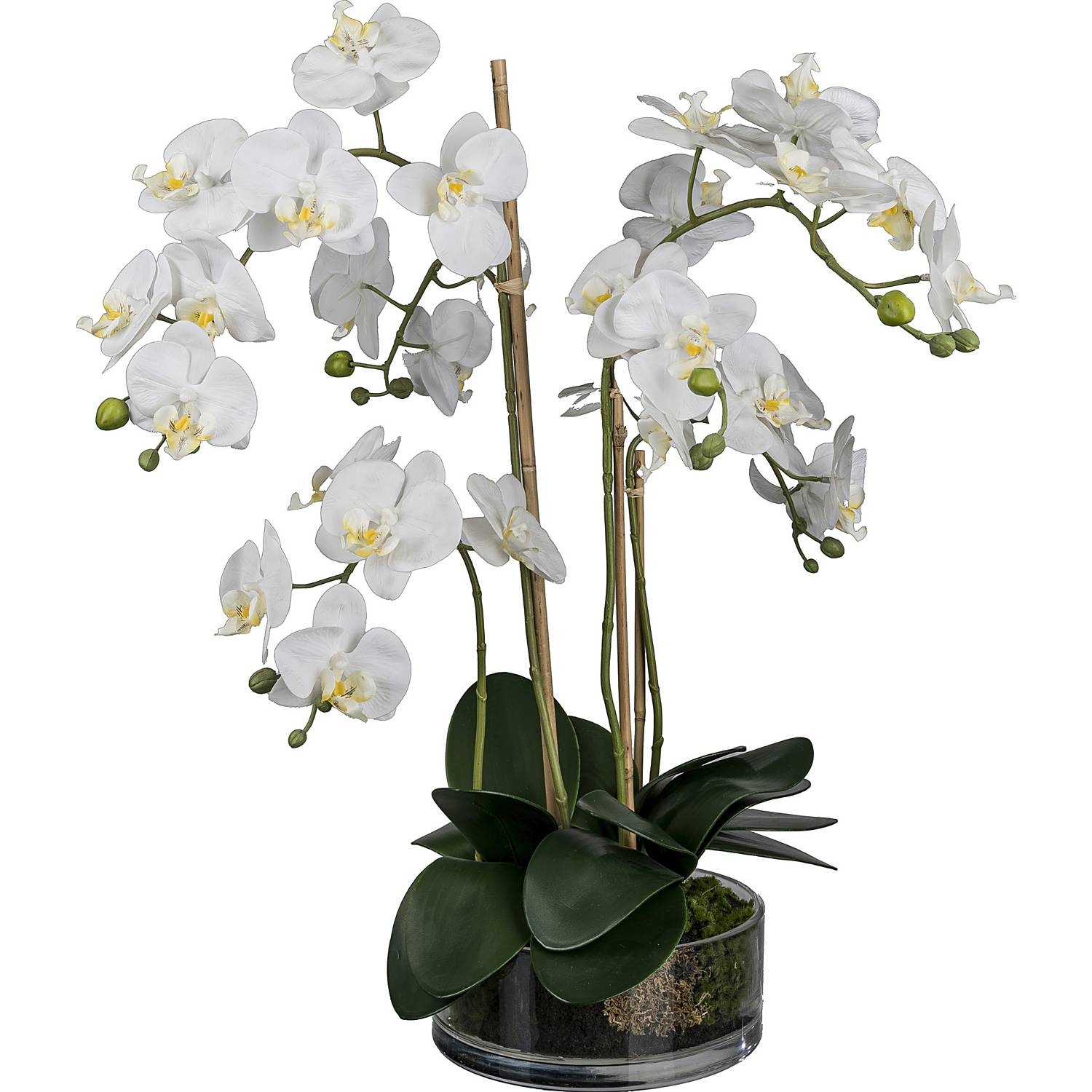 Kunstpflanze Orchidee