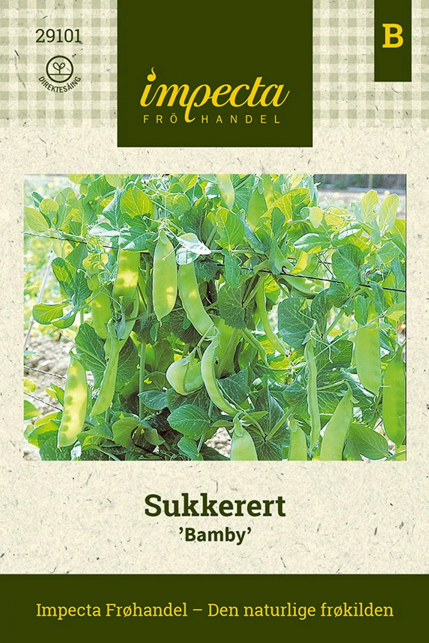 Pisum sativum 'Bamby' Sukkerert 'Bamby'