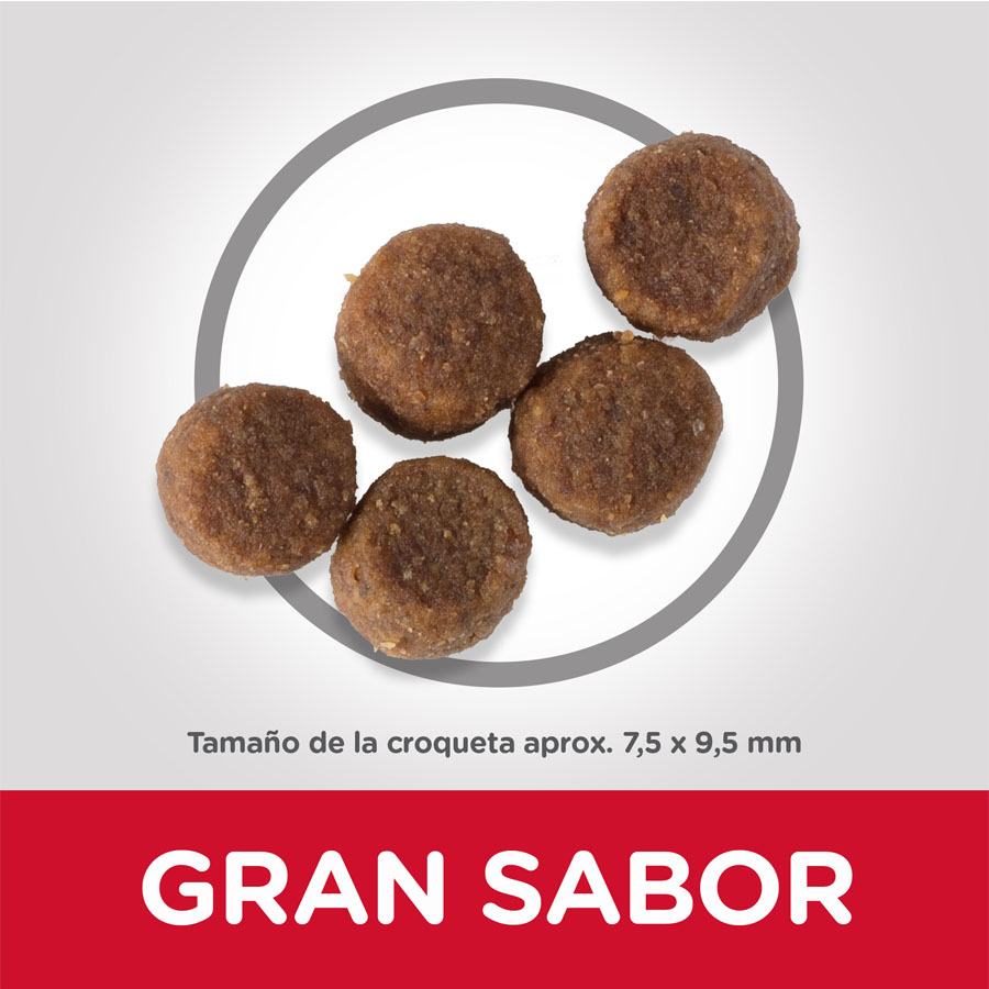 Hill's Science Plan Puppy Medium pollo pienso para perro