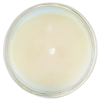 The Candle Company (Carroll & Chan) 100% Beeswax Votive Candle - Green Seas  65g/2.3oz