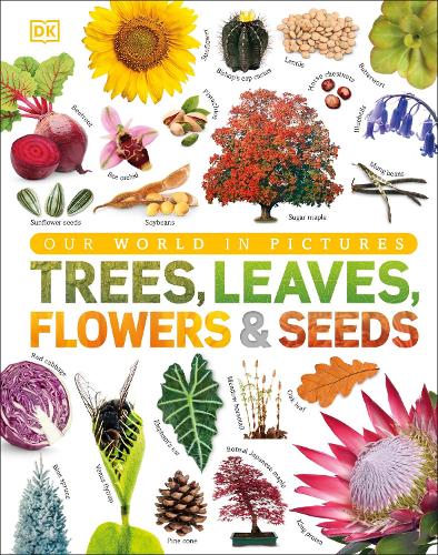 Our World in Pictures: Trees, Leaves, Flowers & Seeds (Hardback)