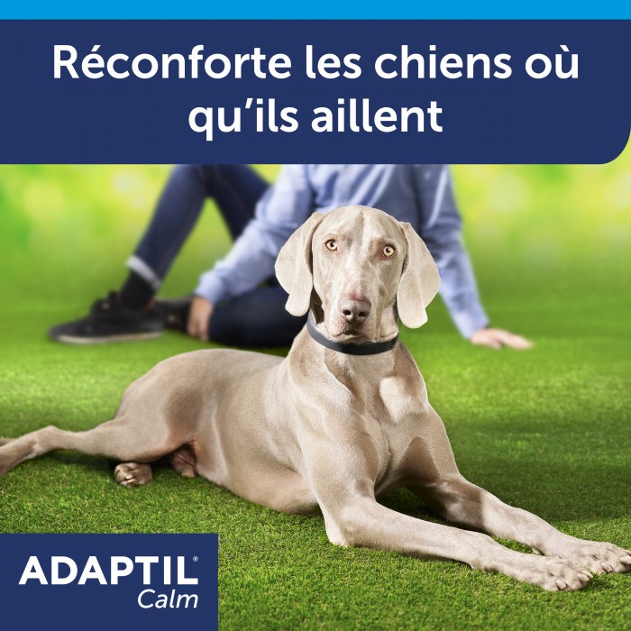 ADAPTIL Calm collier