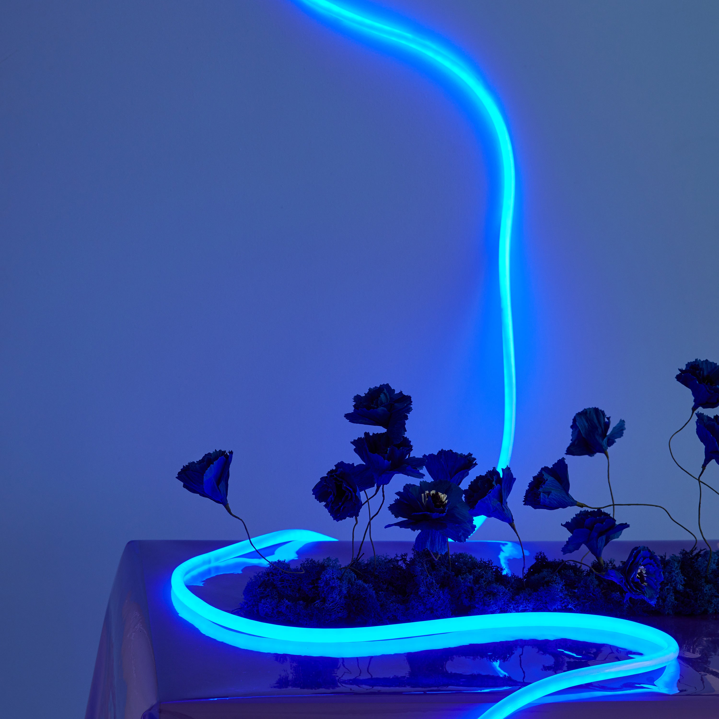 Studio About Flex Tube Lichtsnoer 5 M - Blue