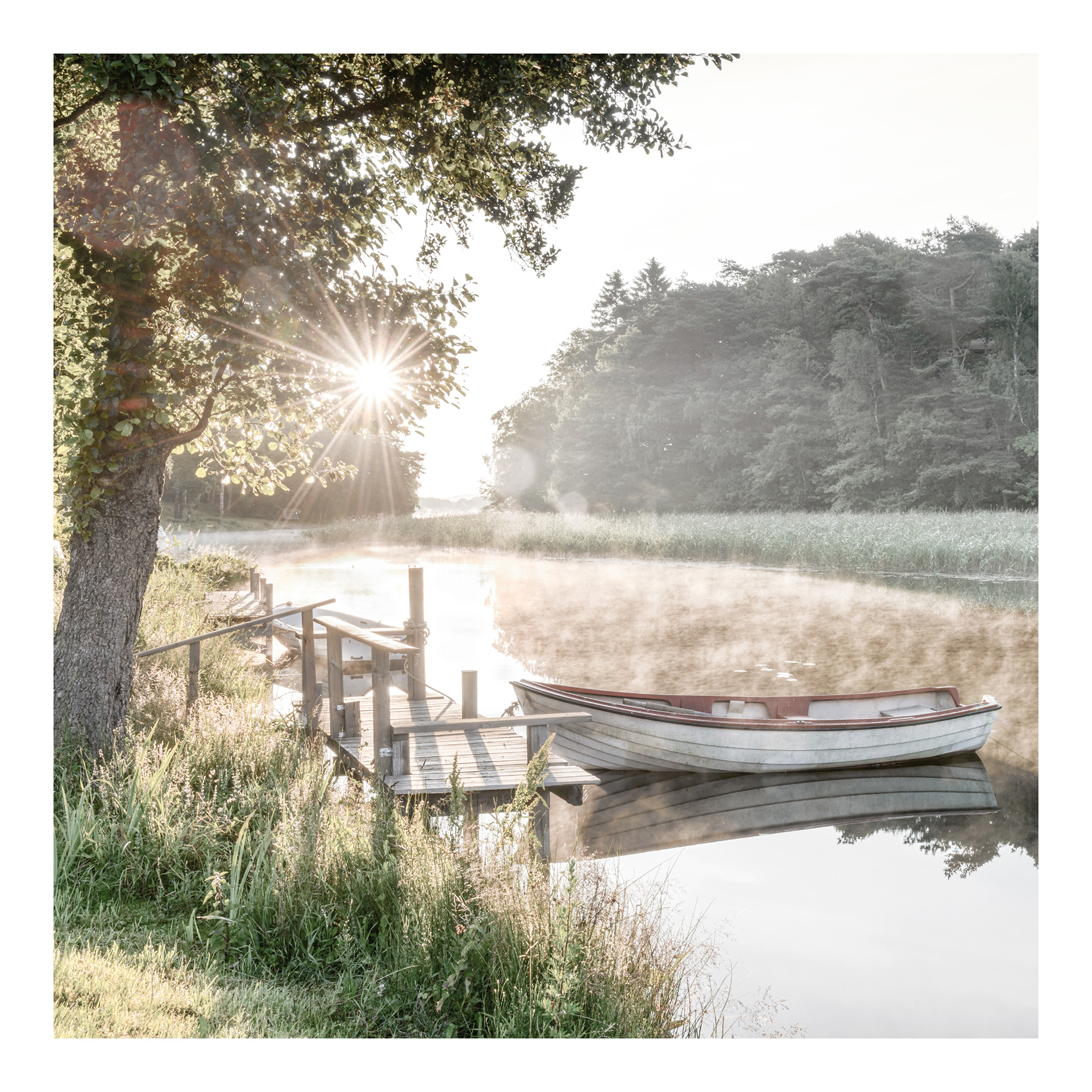 Gerahmtes Bild RISE AND SHINE - 50x50 cm