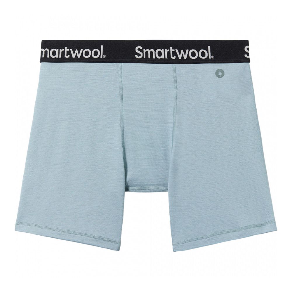 Smartwool BRIEF - Boxer Homme lead