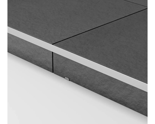 RVS randprofiel 20x1200 mm