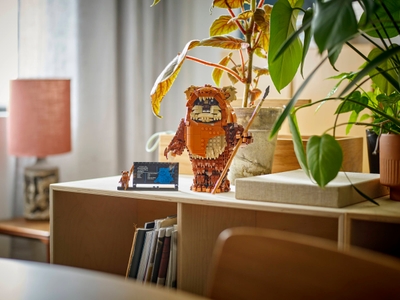 LEGO Wicket the Ewok™ (75430)