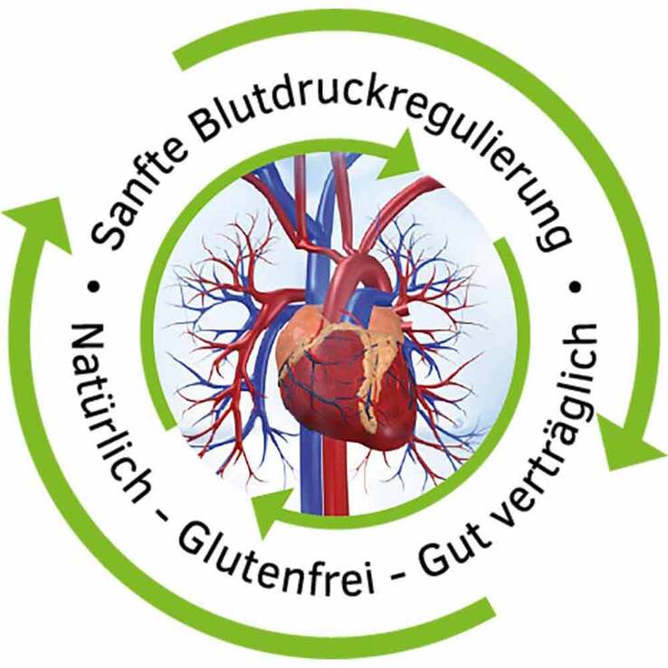 Homviotensin® Tropfen, 100 ml