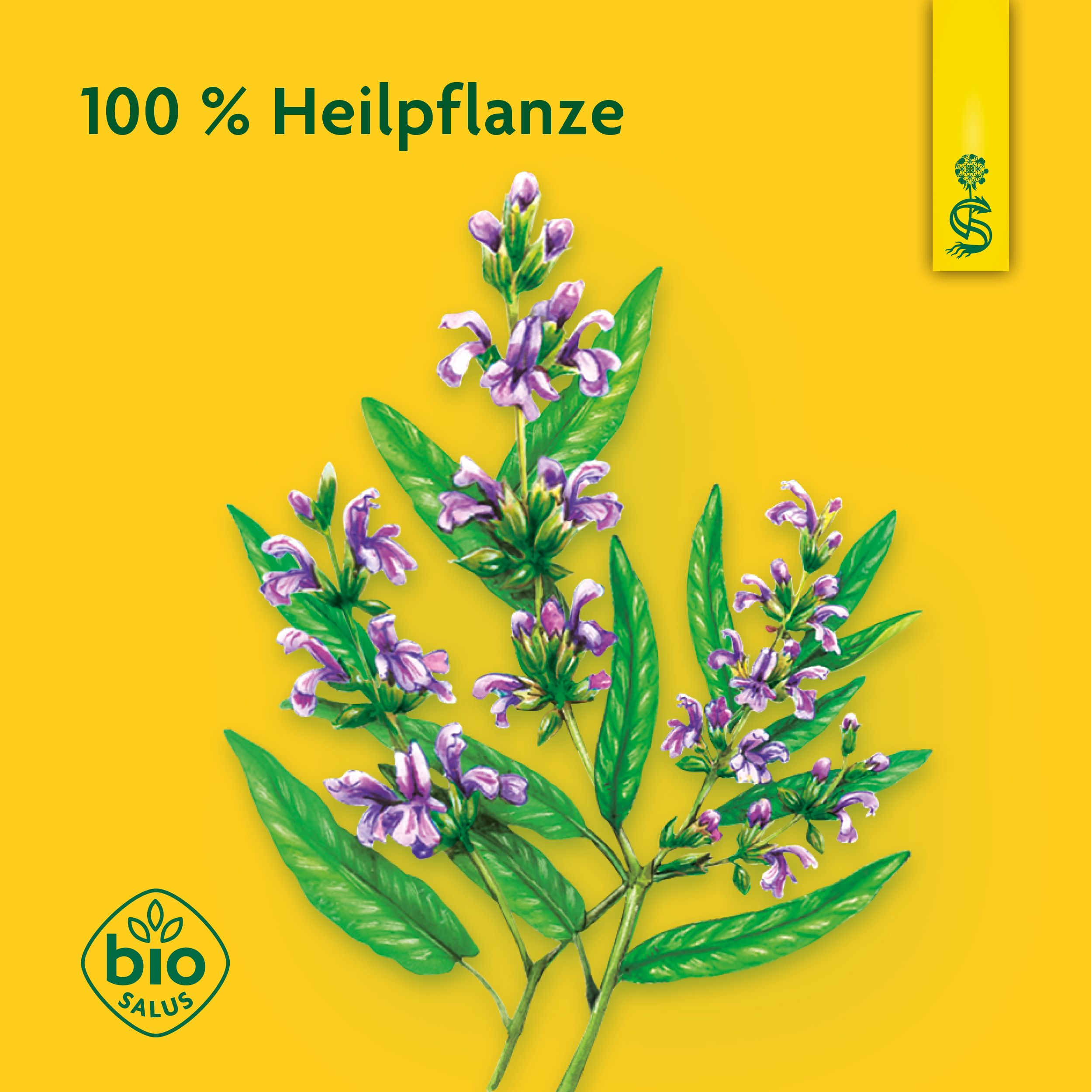 Schoenenberger® naturreiner Heilpflanzensaft Salbei