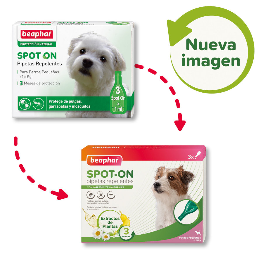 Pipetas repelentes Beaphar para cães de pequeno porte