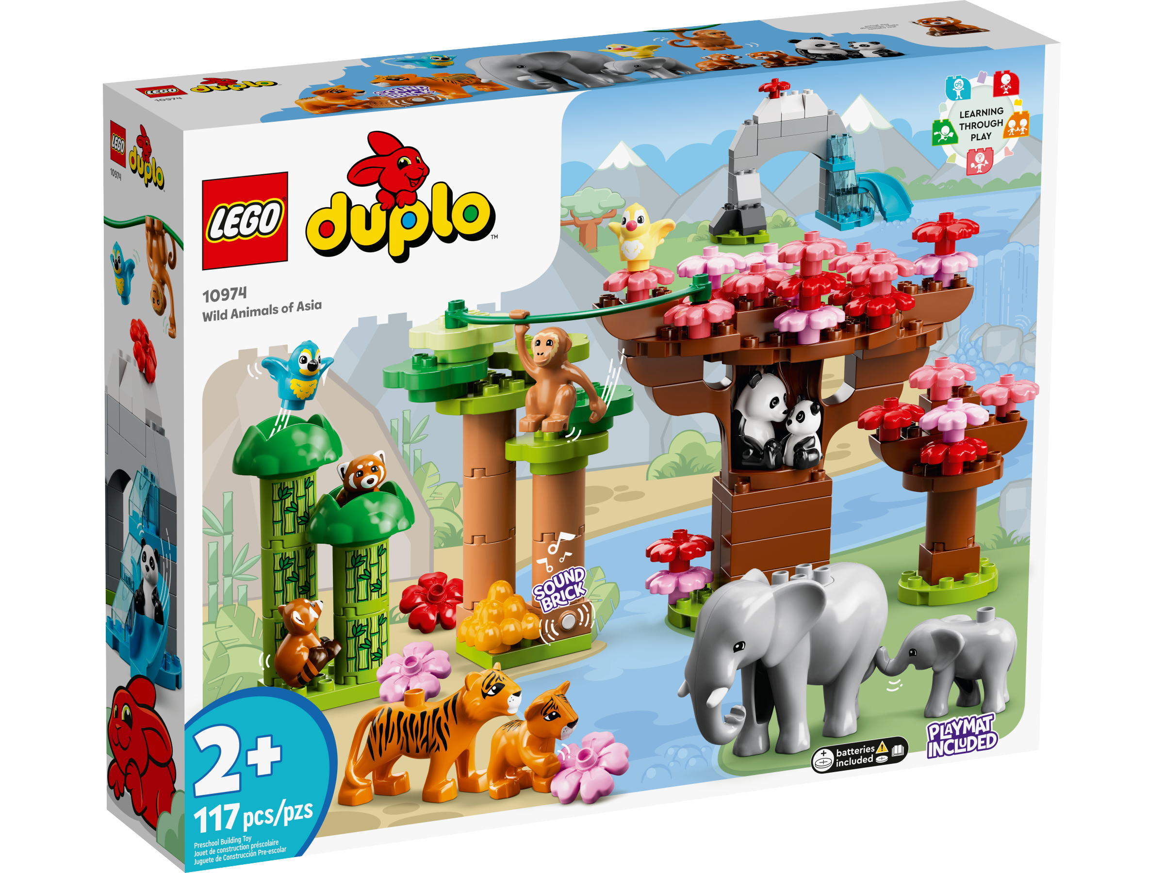 Animais Selvagens da Ásia 10974