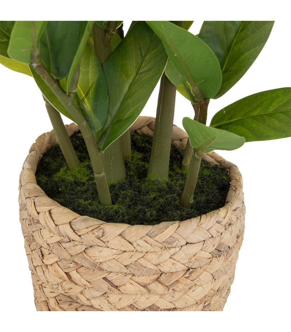 Plante artificielle zamio en pot h 41 cm