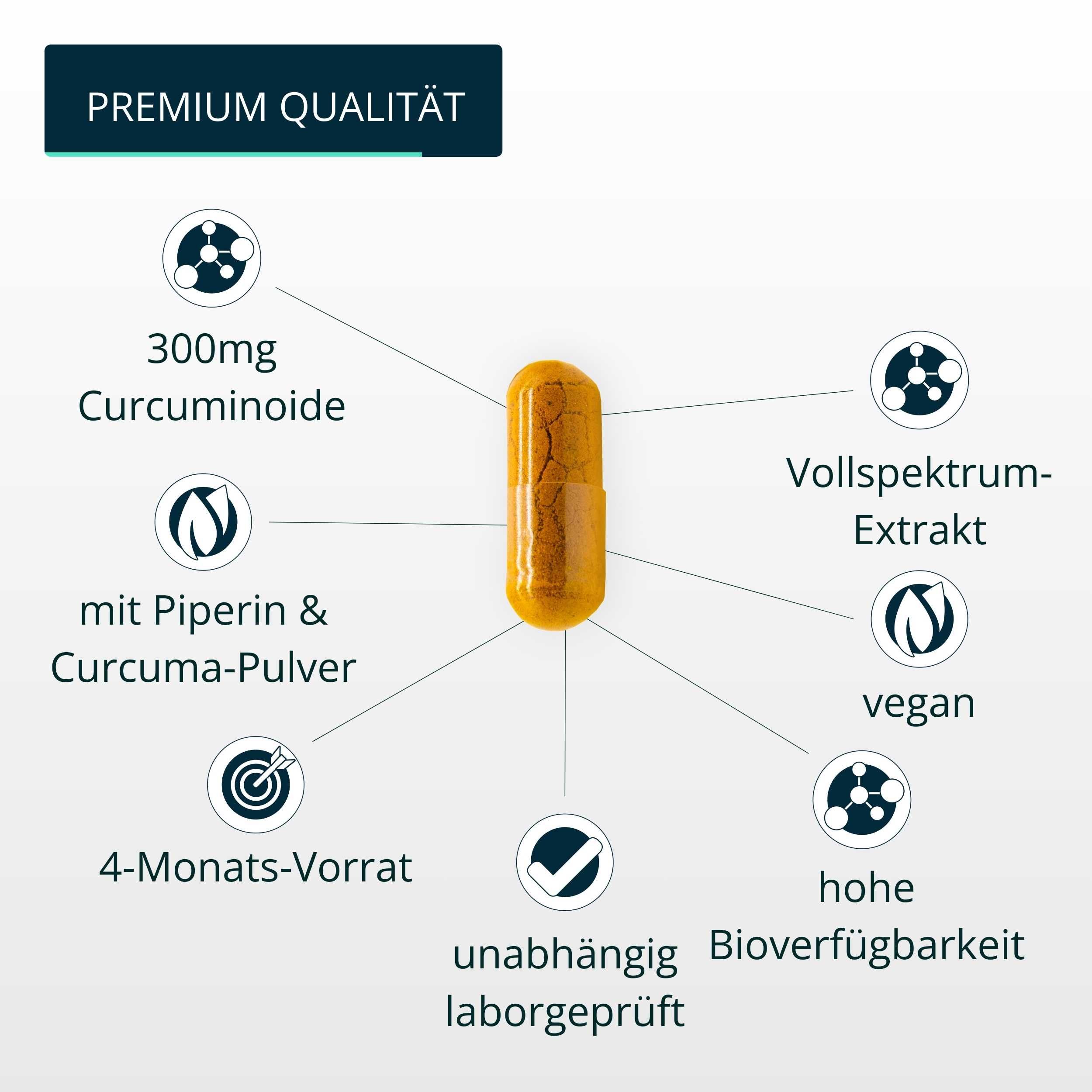 brandl® Bio Curcuma Extrakt mit Curcumin (Curcuminoide) & Bio Piperin