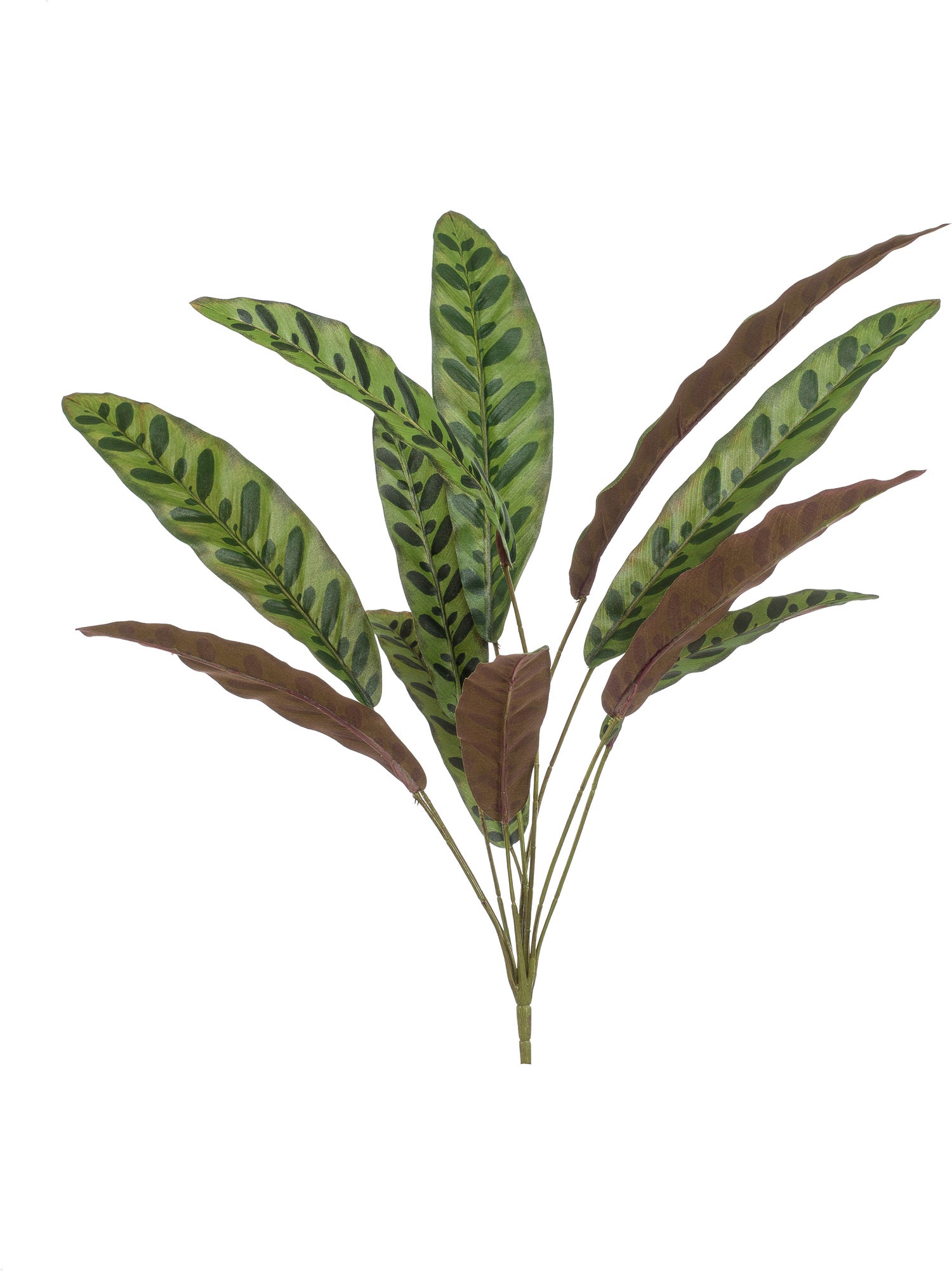 Emerald kunstplant Calathea meerdere kleuren 70 cm