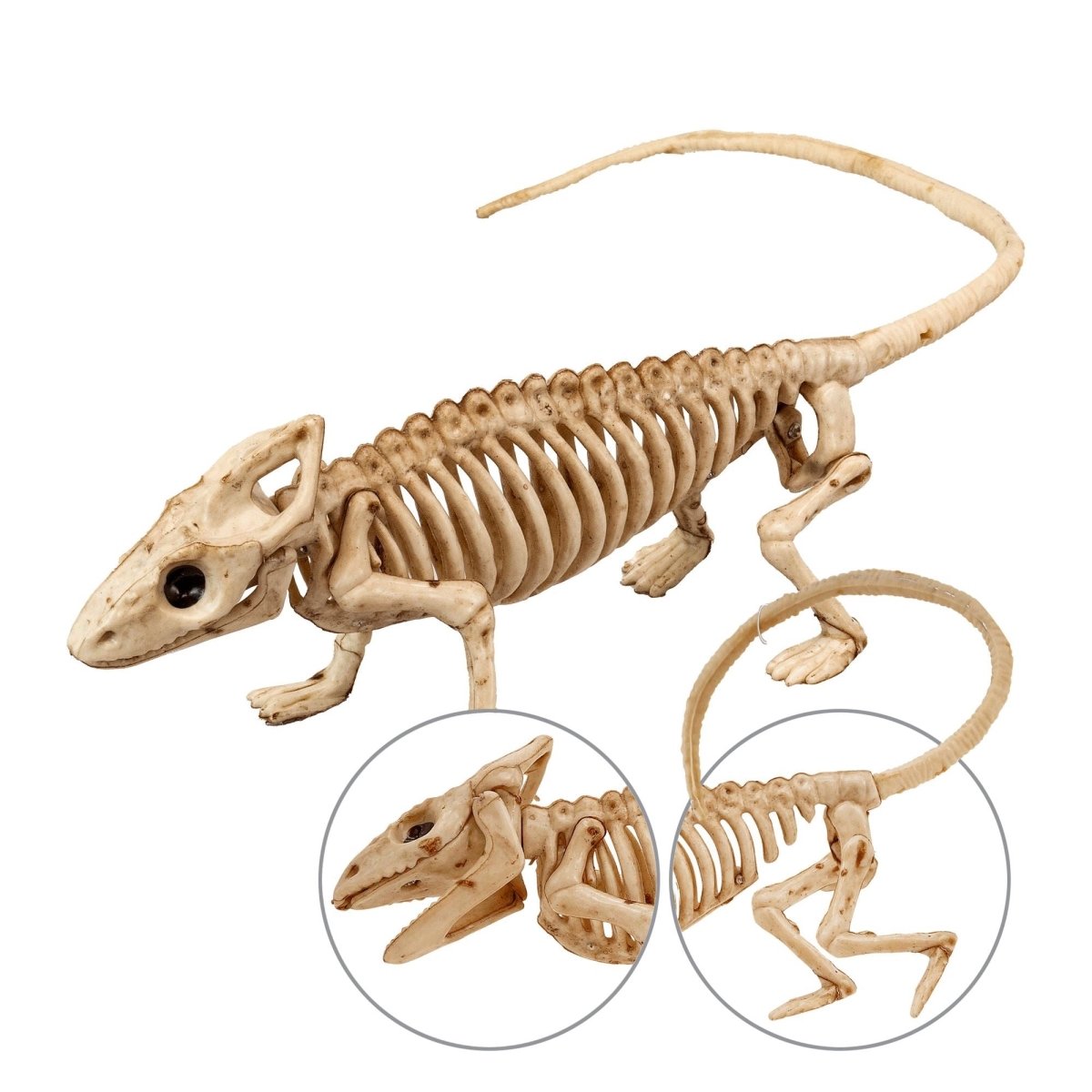Halloween Skelet Leguaan 43cm