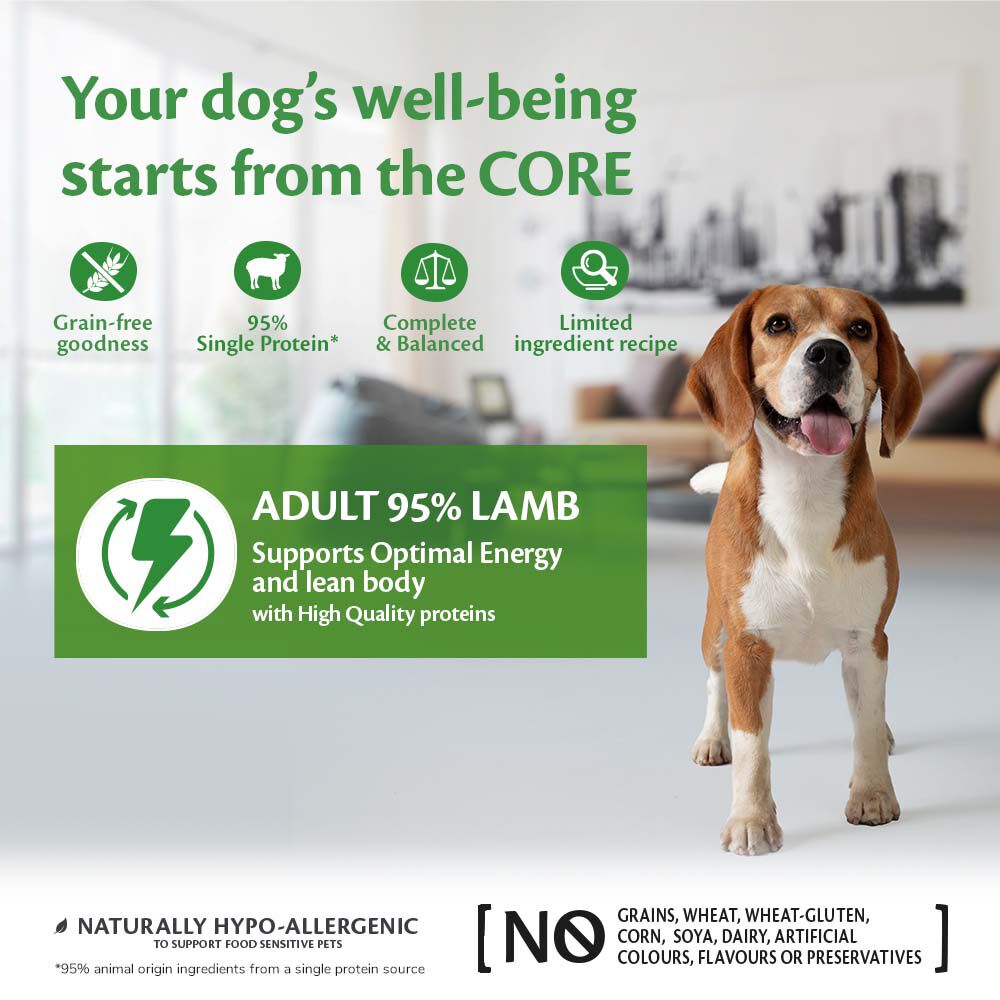 Wellness CORE Adult - Hondenvoer - 400 Gram - lam