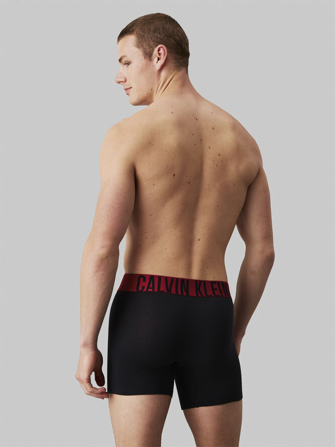 Calvin Klein BOXER BRIEF 3PK B- juneberry lgs