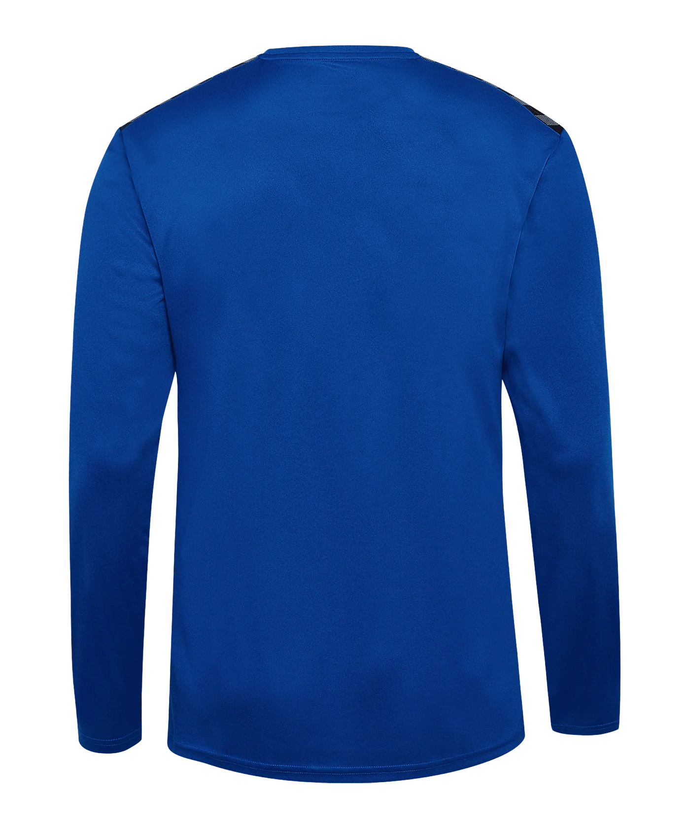 Hummel hmlAUTHENTIC PL langarm Trikot Blau F7045