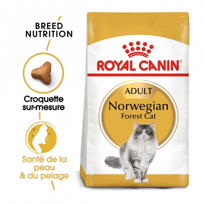 Royal Canin Norvégien Adult