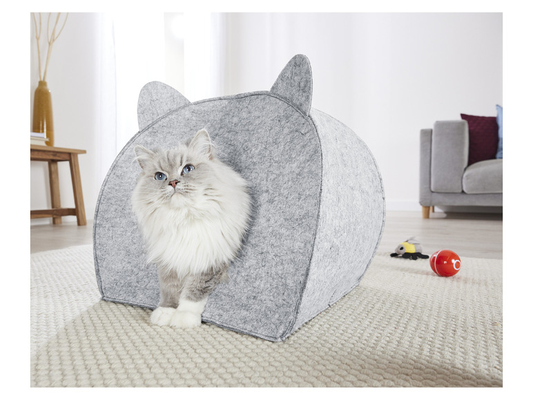 Kattenmand