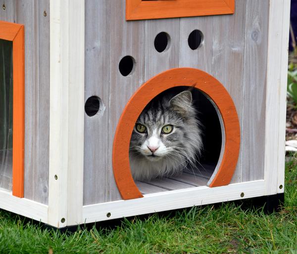 dobar® petlife Katzenhaus Fany Cat, ca.