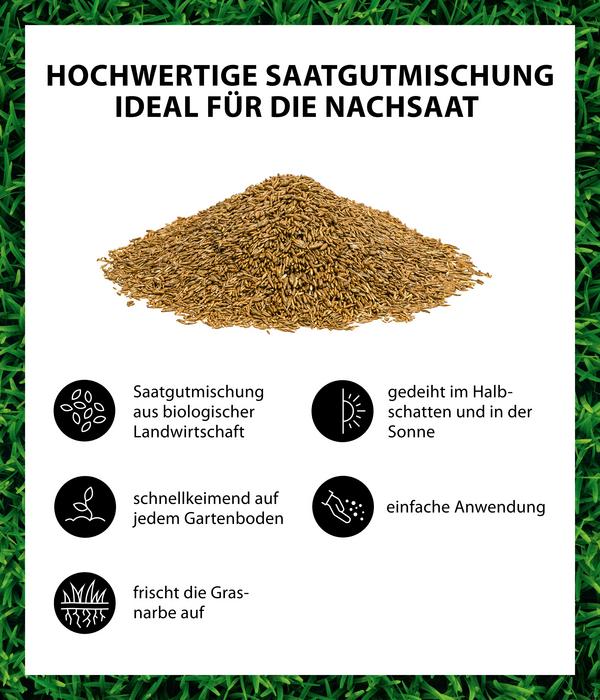 Dehner Bio Rasen-Nachsaat, 500 g