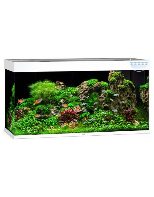Juwel Aquarium Rio 350 Led 121x51x66 cm - Aquaria