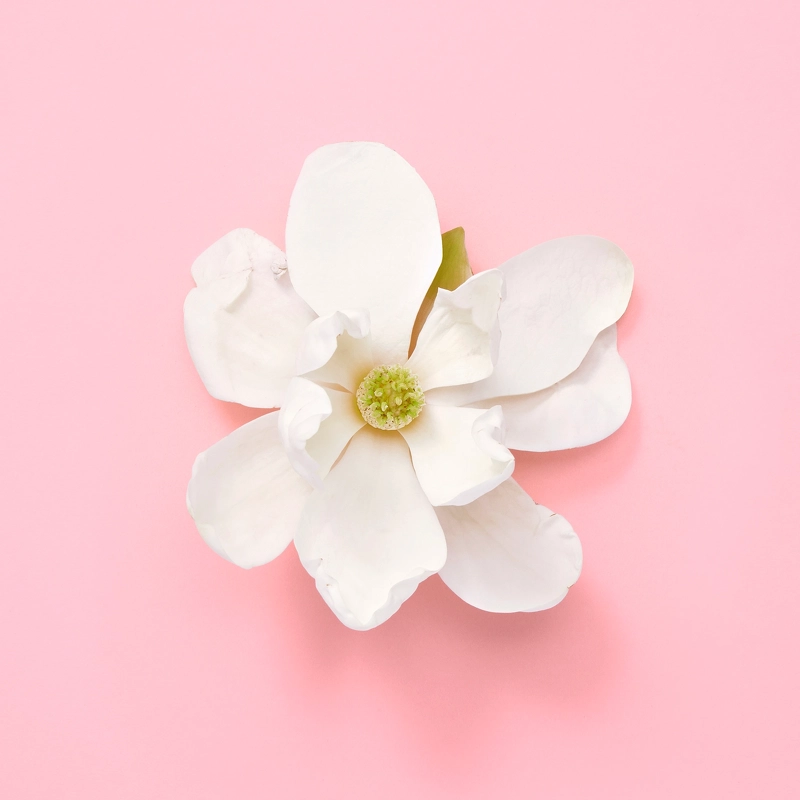 Gucci Flora Gorgeous Jasmine EDP 100 ml