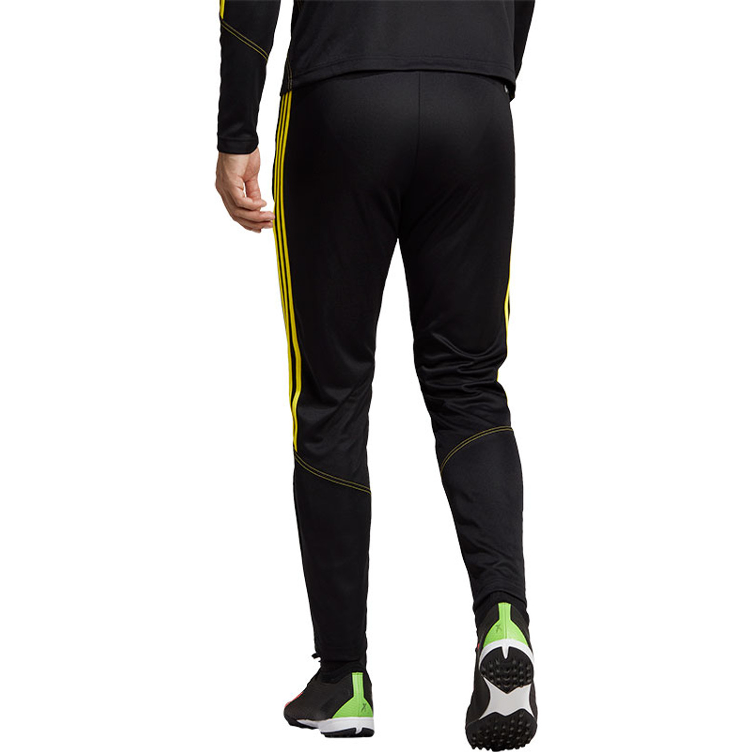 adidas Tiro 23 Club Training Pant