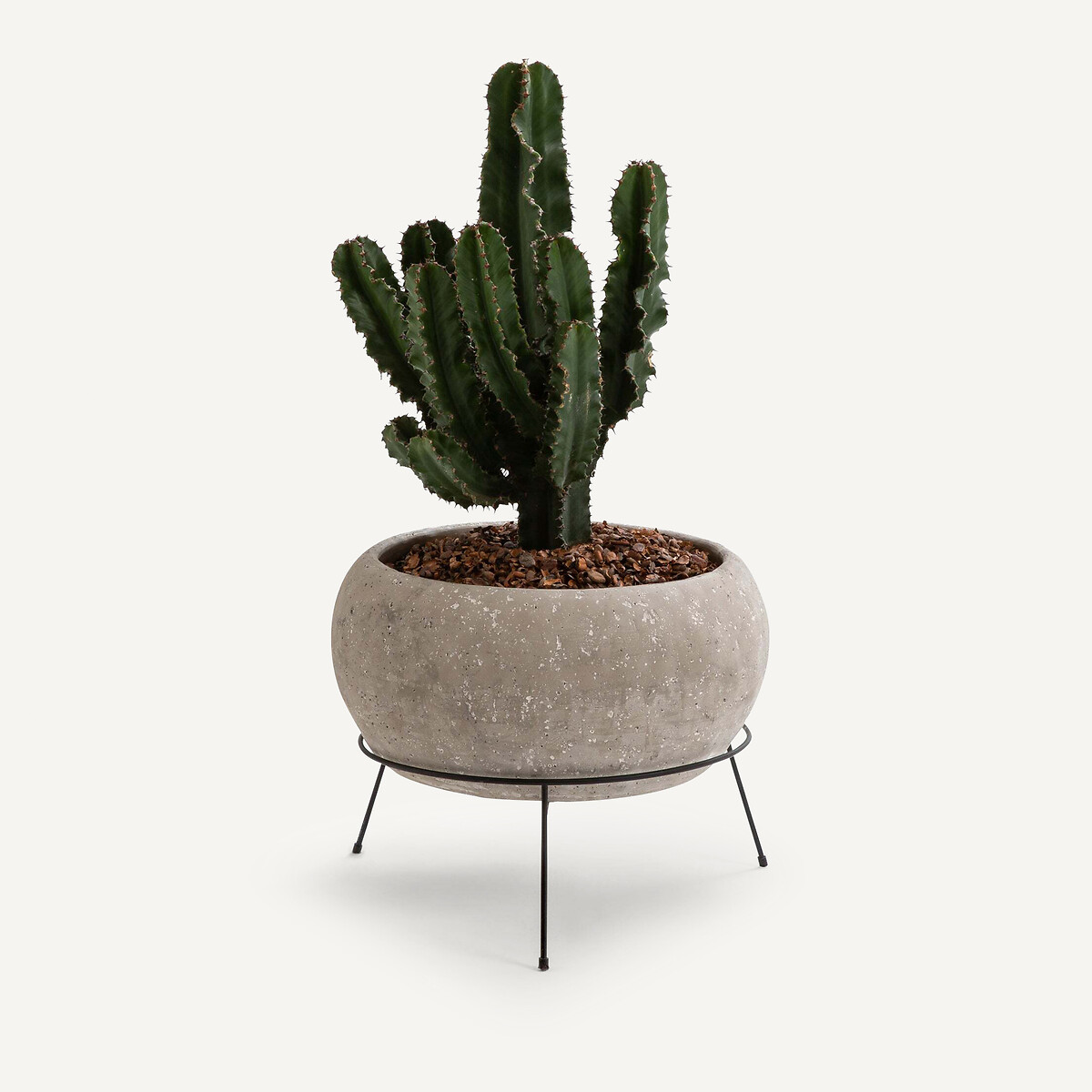 AM.PM<br>Vaso de cimento ø35 x A29 cm Ollam