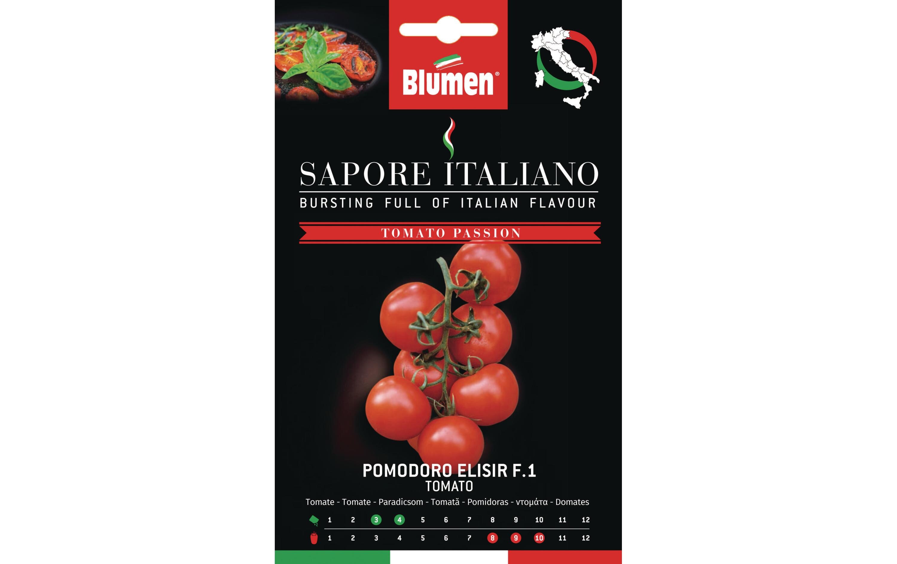 Samen Tomate Elisir F.1Gemüsesamen