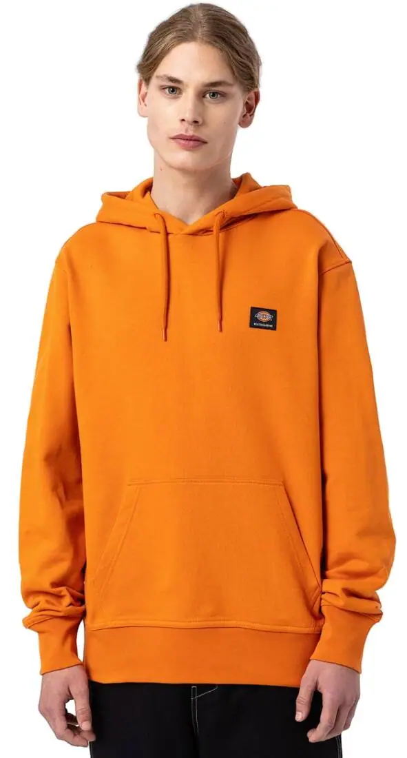 Dickies Mount Vista Hættetrøje | SkatePro