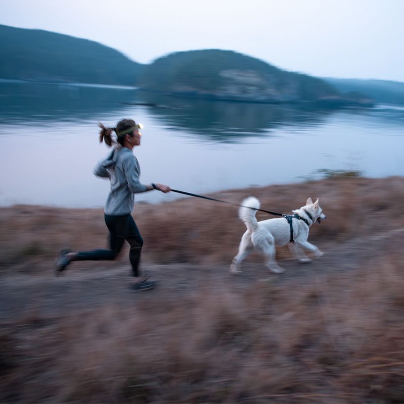 Harnais Ruffwear Front Range