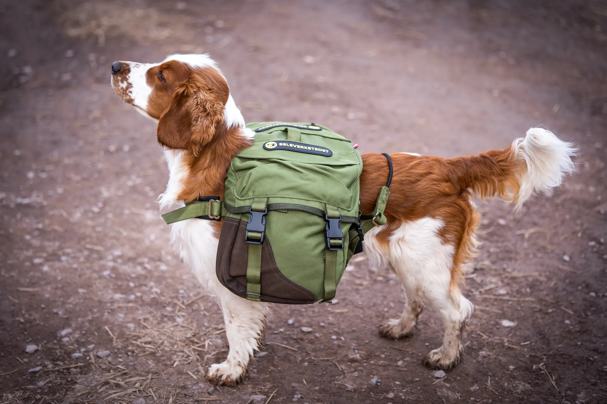 Seleverkstedet Togo hundekløv Grønn/brun XS