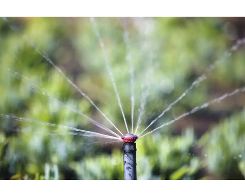 Professionele pop-up sproeier RainBird R-Van24 (werpbereik 5,2-7,3 m)
