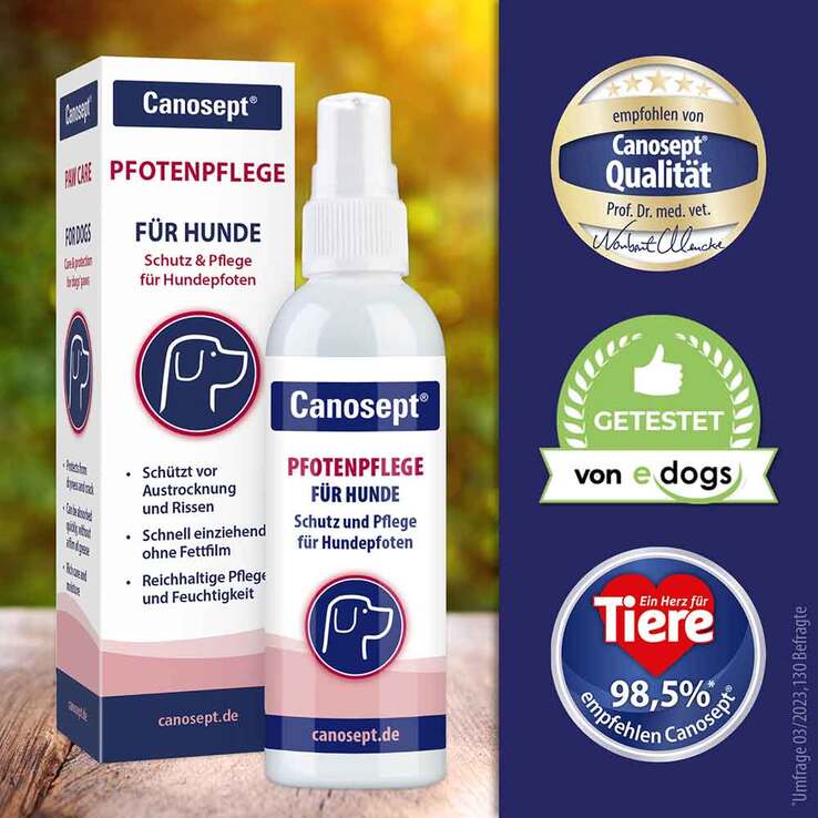 Canosept Pfotenpflege Gel für Hunde, 75 g