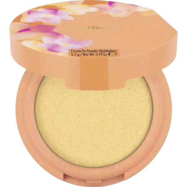 Seeking Flowers Cream-To-Powder Highlighter C02 Apriglow